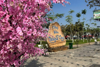 DỊCH VỤ TRANG TRÍ TẾT 2026 TRỌN GÓI – GIẢI PHÁP ĐÓN XUÂN CHUYÊN NGHIỆP CÙNG 161